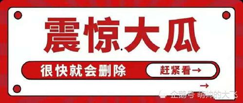 娱乐圈吃瓜合集文件,揭秘明星幕后故事与精彩瞬间